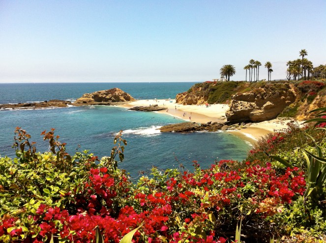 IMG_0859 - Version 2