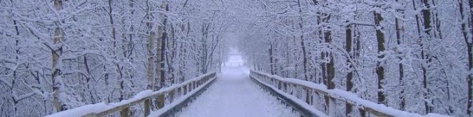 cropped-edcebebbbba33746d00e678fe48aa52c-winter-landscape-landscape-photos.jpg